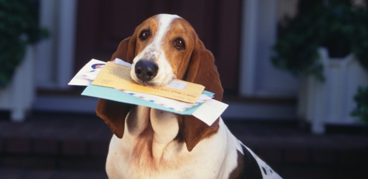 Dispatch pivots away from project collaboration to bring order to group emails