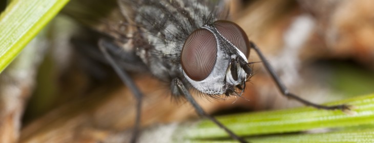 Instapaper creator Marco Arment launches Bugshot, a Skitch rival for highlighting visual bugs in iOS ...