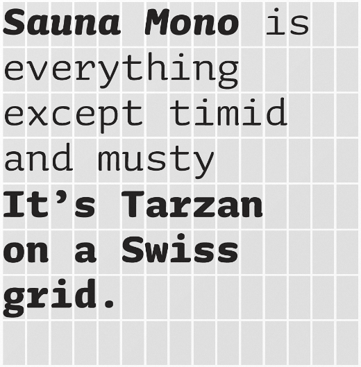 sauna mono photo sauna mono 30 of the most beautiful typefaces released last month