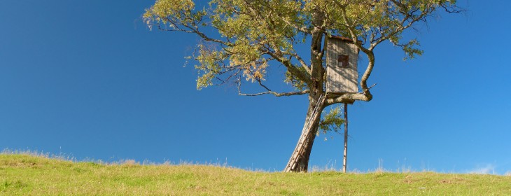 Tech education startup Treehouse branches out to the iPad with a new app
