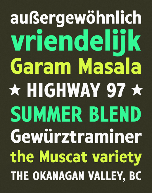 28 of the most beautiful typefaces released last month harvey 28 of the most beautiful typefaces released last month