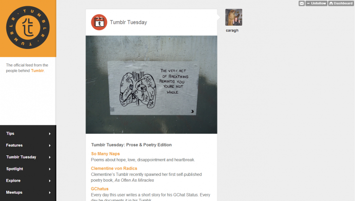 The 15 best blogging and publishing platforms on the Internet today. Which one is for you? tumblr1 730x415 The 15 best blogging and publishing platforms on the Internet today. Which one is for you?