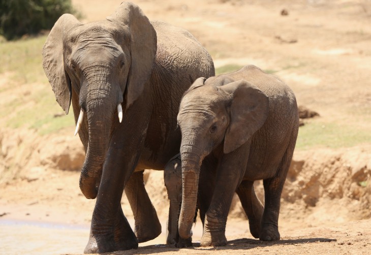 Following major breach in February, Evernote finally brings optional two-factor authentication to all ...