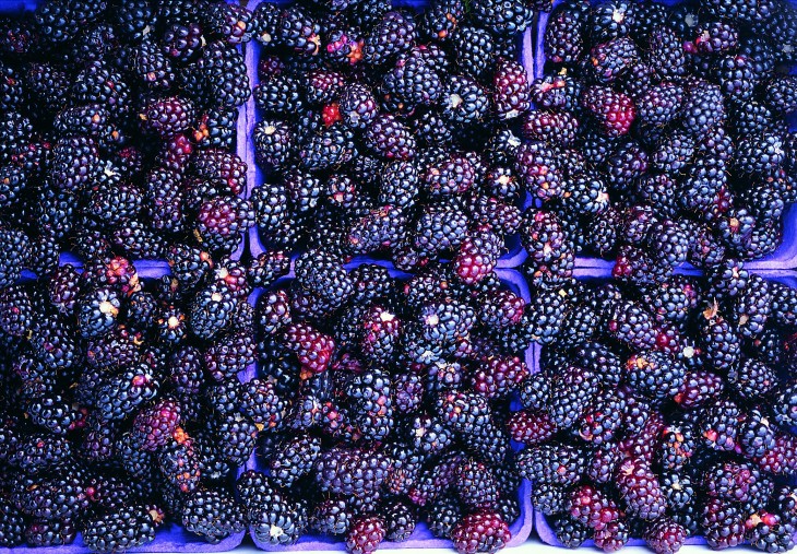 BlackBerry reportedly seeking to accelerate auction process and finalize sale by November