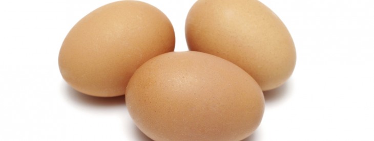 Here’s why your Twitter avatar may (temporarily) be an egg