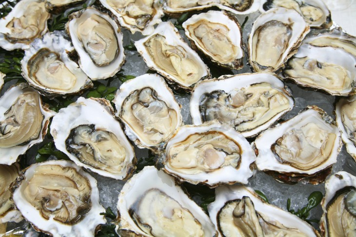 Oyster launches its all-you-can-read ebook service for the iPhone with over 100,000 titles