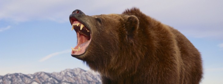 Beautiful VPN service Tunnelbear gains always-on data privacy and performance enhancements