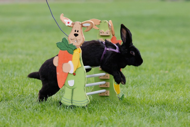 Online errand-running platform TaskRabbit expands to Denver, Miami, Phoenix, and San Diego