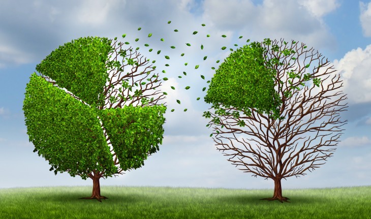 How to calculate the equity split between co-founders in a startup
