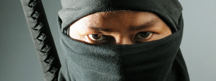 Ninja Metricsâs new social analytics engine tracks influence down to the dollar
