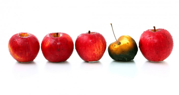 Why dealing with underperforming employees is essential for your startup’s success