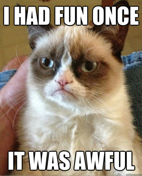 GrumpyCat 1 13 of the best memes from 2013
