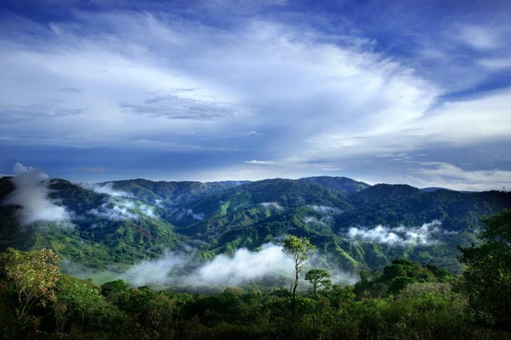 In the heart of the Panamanian jungle, a startup village grows