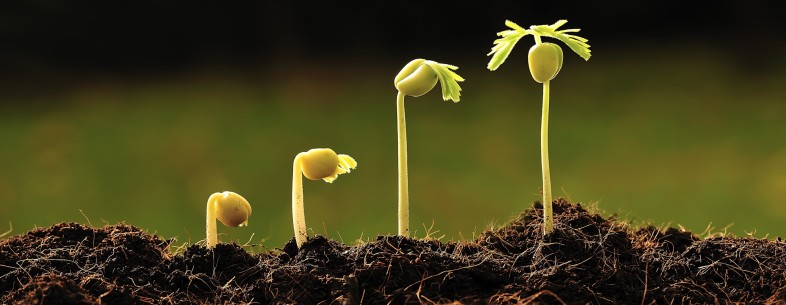 Strategies vs. tactics: Which is best for growing your audience? Strategies vs. tactics: Which is best for growing your audience?