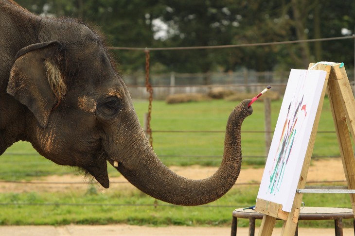 Evernote’s new ‘conversational search’ lets you use everyday language to find notes ...