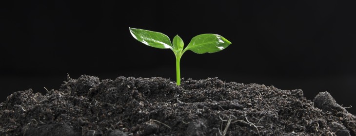3 things you can change to go from startup to grown up