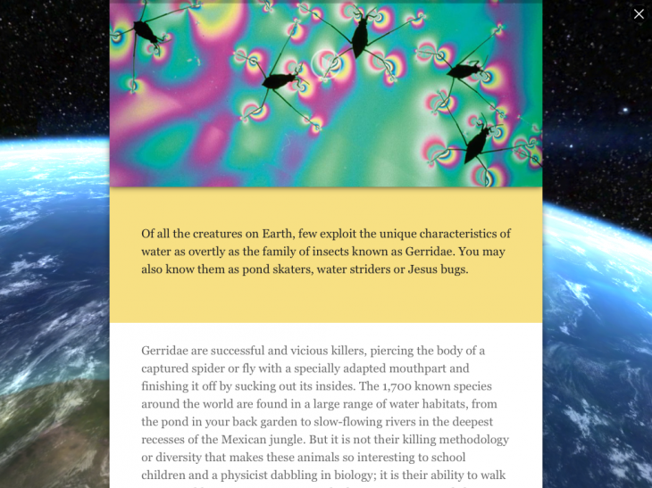 Photo 27 02 2014 10 55 57 730x547 Wonders of Life for iOS takes you on a spellbinding tour of planet Earth