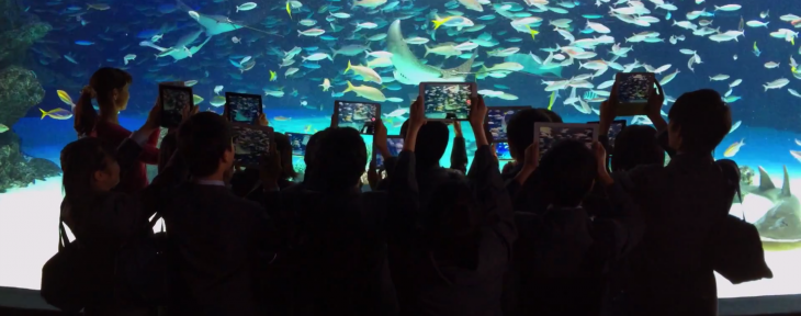 Apple celebrates the Mac’s 30th birthday with a beautiful video shot only with iPhones
