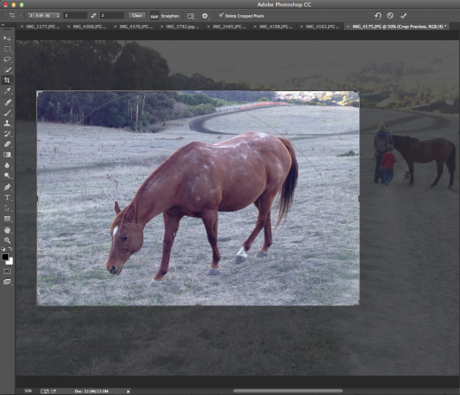 How to crop images like a pro Screen Shot 2014 02 13 at 11.32.55 PM 520x446 How to crop images like a pro