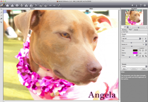Akvis OilPaint transforms your photos into works of art Screen Shot 2014 02 17 at 11.12.33 PM 520x358 Akvis OilPaint transforms your photos into works of art