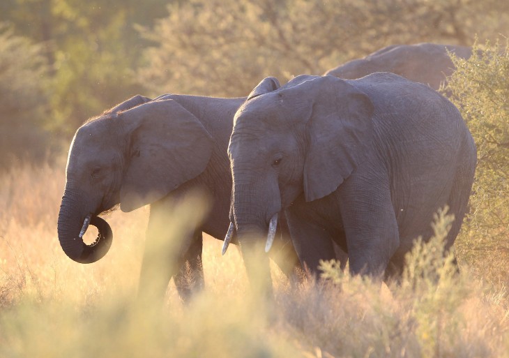 Evernote for iOS updated with better business card scanning and Presentation Mode