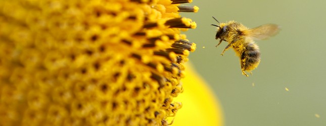 Music streaming app Bloom.fm hits 1M registered users in the UK, will launch a Web player next month