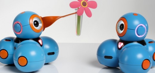 Bo-gives-a-friend-a-flower