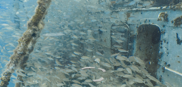 Explore the sunken USS Mohawk with these stunning underwater Street View photos