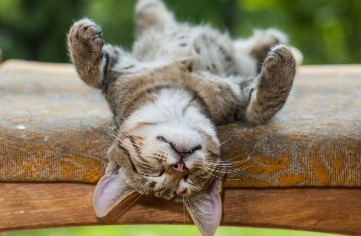 6 totally strange but effective productivity hacks
