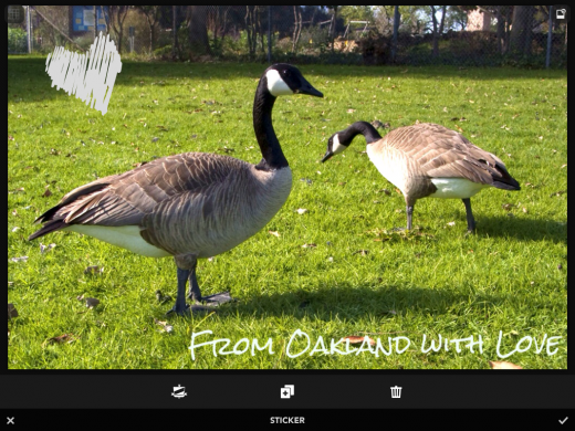 photo 2 520x390 Rookie may just be an ideal replacement for your iPhones built in camera app