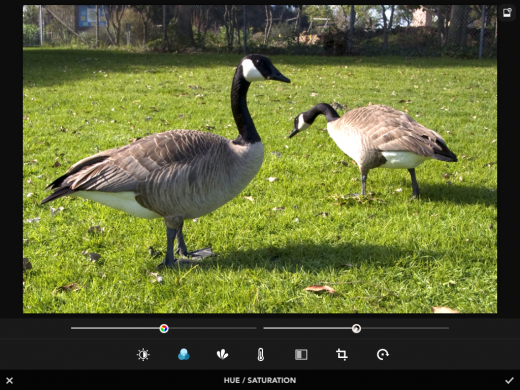 Rookie may just be an ideal replacement for your iPhones built in camera app photo 4 520x390 Rookie may just be an ideal replacement for your iPhones built in camera app