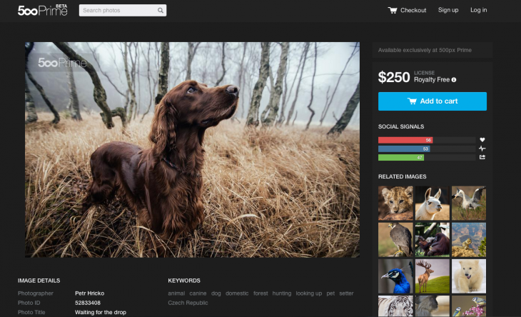 500px’ commercial ‘Prime’ photo marketplace rolls out of beta