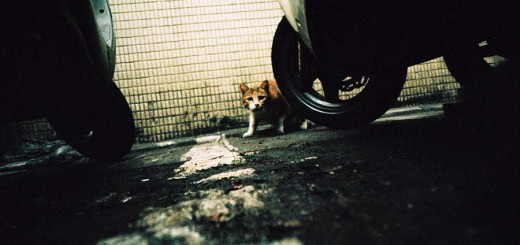 Lomography's new Russar+ will view the world from a wider angle russar-lens-analogue-photo-22