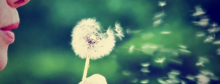 Pollen launches beta ‘velocity capital’ platform that pays developers after 7 days rather ...