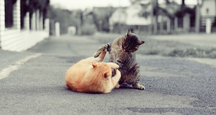 10 ways you’re running your mailing list like a jerk