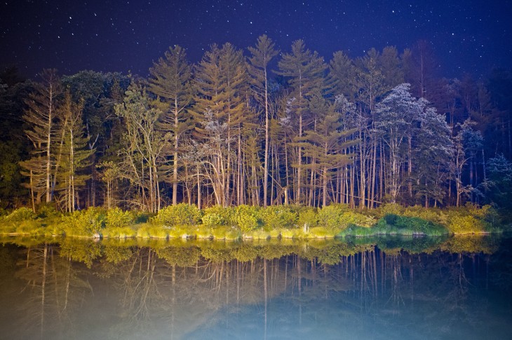 Want to create your own live wallpapers on Android? Murtastic has you covered.