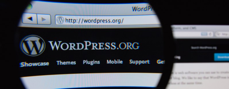 picture of wordpress.org