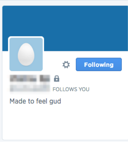 egg 7 key ingredients for a powerful Twitter bio