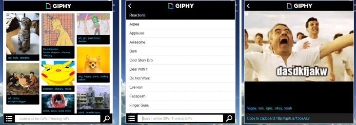 Giphy Chrome 730x258 27 of the best Chrome extensions you should check out today