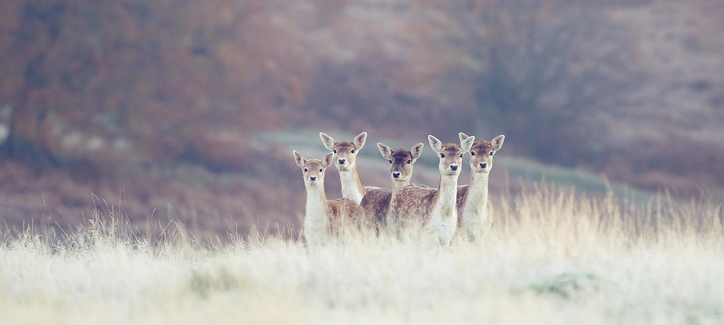 500px debuts new discussion groups on its portfolio site