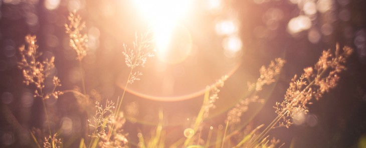 Lenshare mobile photo app captures the moment and keeps it confidential