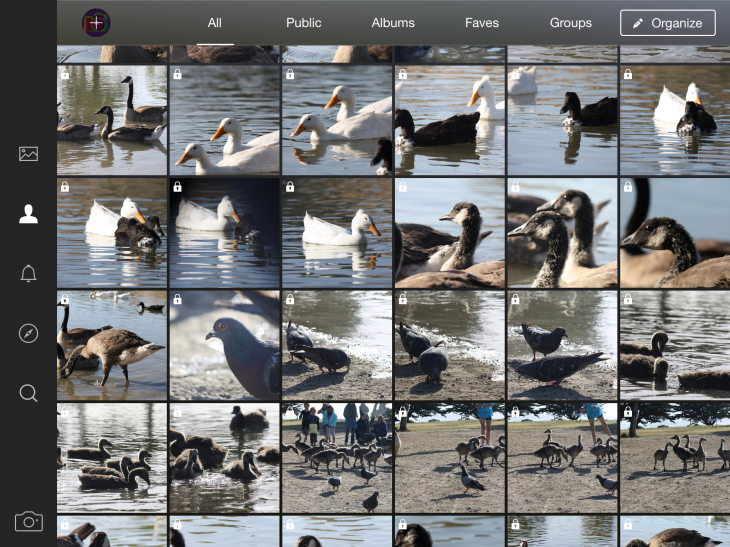 Flickr finally launches for iPad