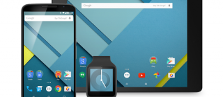 Nexus Family_6_9_and wear