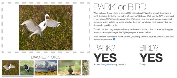 photo of National park or bird? Flickr knows for sure image