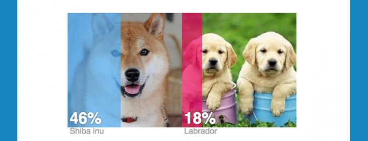 Quickly poll your friends about anything with the Straw app