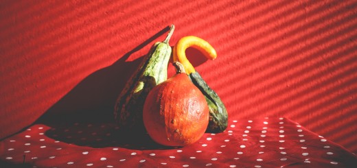 thanksgiving gourds
