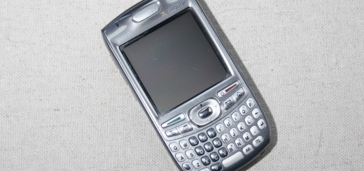 1231_palm