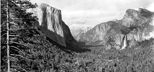 B1653B3F-155D-4519-3EE3DFCD7B0222BE