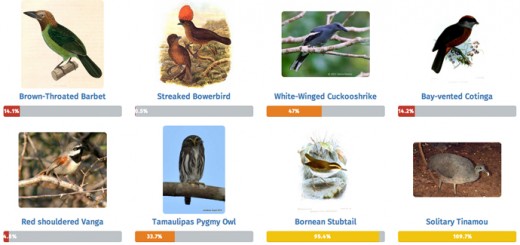 Map of Life unveils new Google Earth-powered tool to aid conservation efforts Screen-Shot-2015-01-08-at-1.53.44-PM