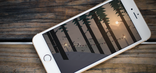 03_Forest